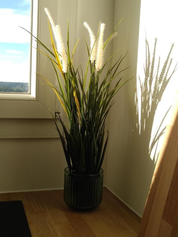 La Salamandre Apartment *